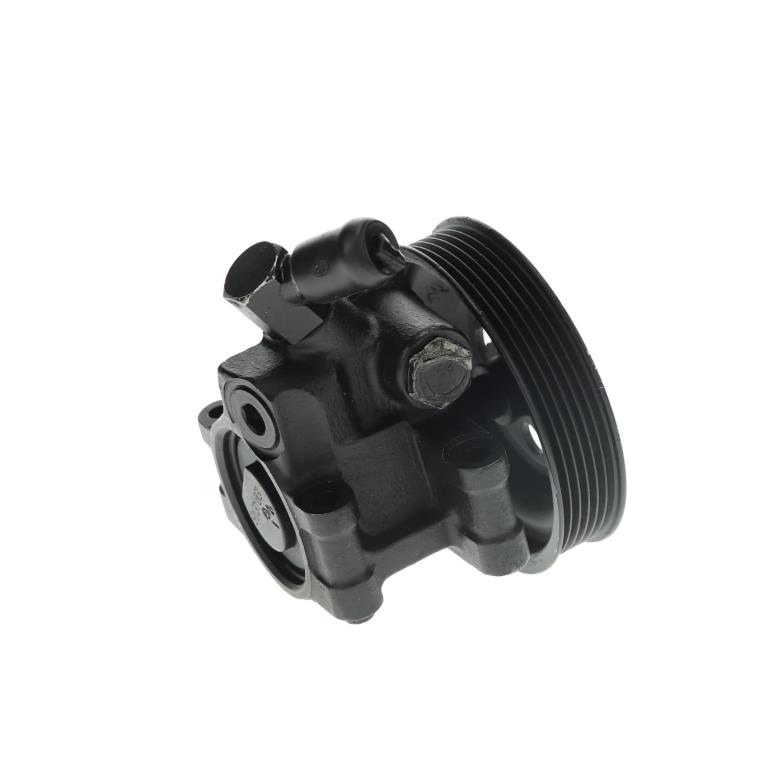 Pompe de direction assistée (Servo direction) DA SILVA S.A.S. ref. DP2151