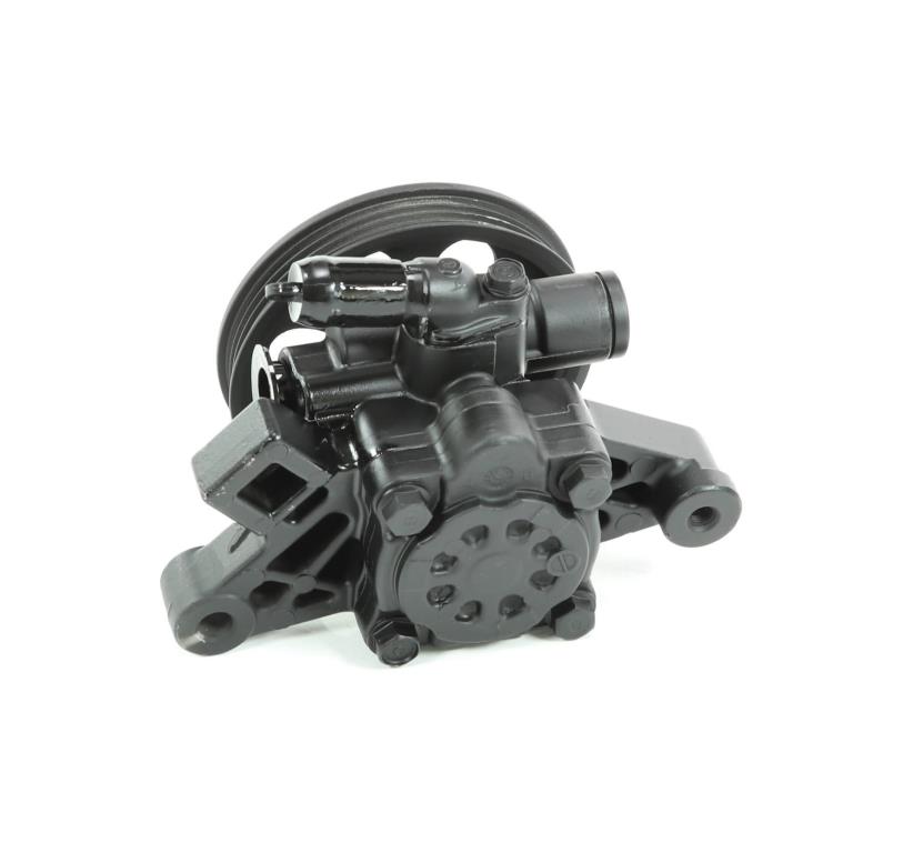 Pompe de direction assistée (Servo direction) DA SILVA S.A.S. ref. DP2591
