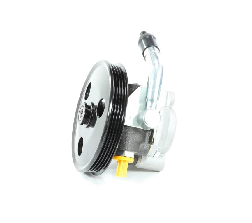 Pompe de direction assistée (Servo direction) DA SILVA S.A.S. ref. DP3053