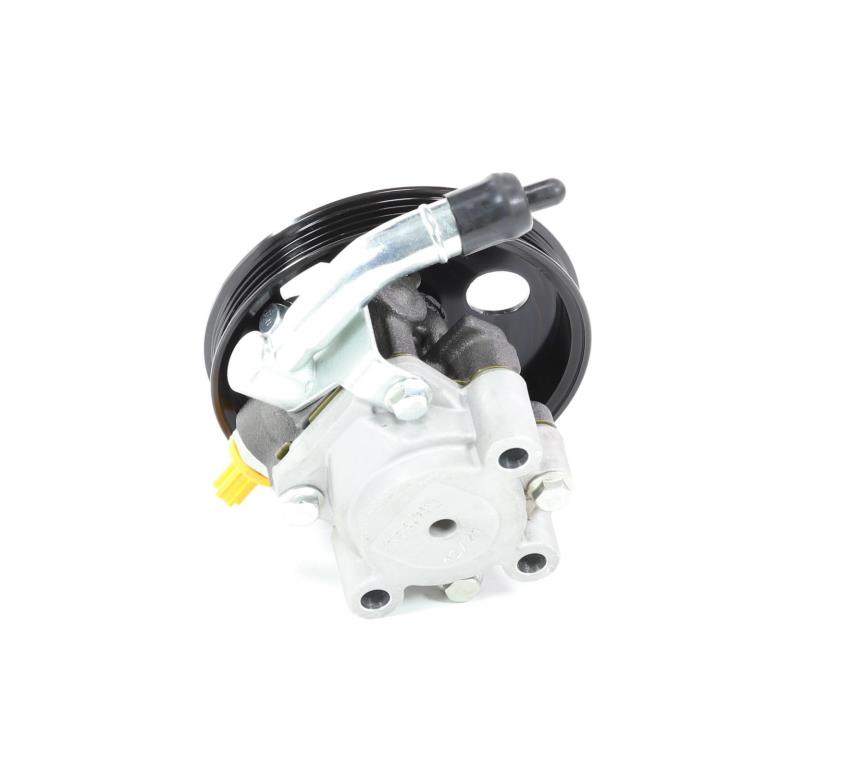 Pompe de direction assistée (Servo direction) DA SILVA S.A.S. ref. DP3053