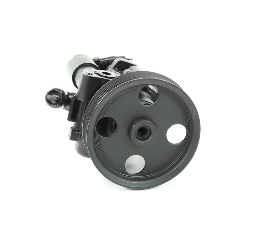 Pompe de direction assistée (Servo direction) DA SILVA S.A.S. DP3356