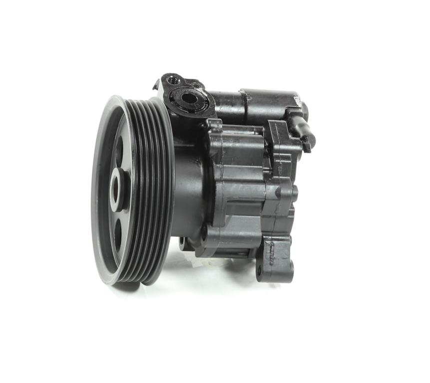 Pompe de direction assistée (Servo direction) DA SILVA S.A.S. DP3356