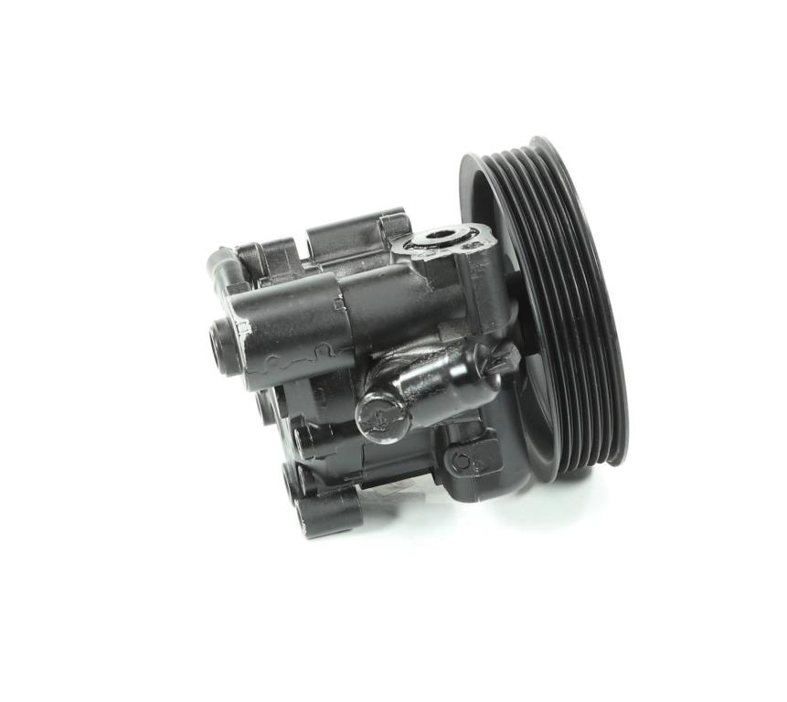 Pompe de direction assistée (Servo direction) DA SILVA S.A.S. DP3356