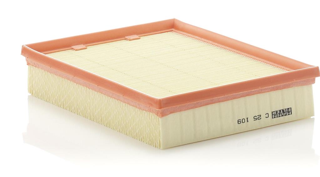 Filtro de ar MANN-FILTER C 25 109