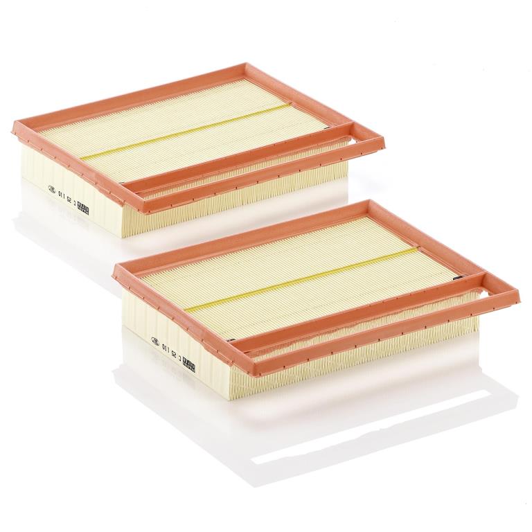Filtro de aire (de coche) MANN-FILTER ref. C 25 110-2
