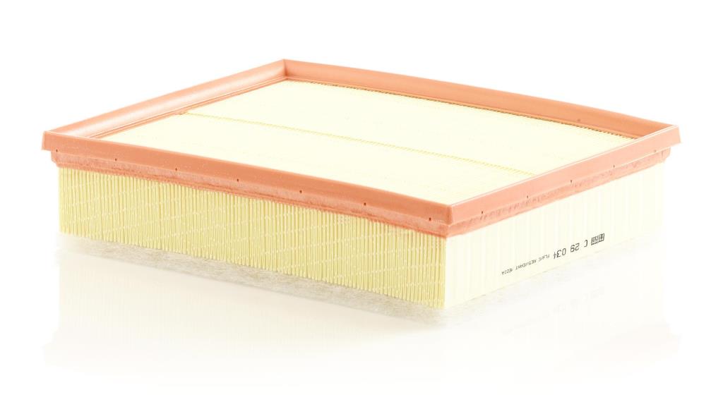 MANN-FILTER C 29 036 Filtre à Air Premium - Protection Moteur Pour Véhicules Tourisme Et Utilitaires