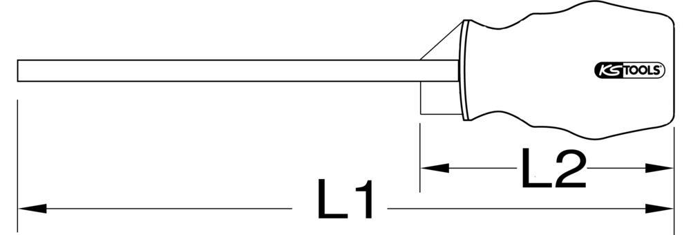 Pompe à vidanger (Pompe à vidange huile moteur) KS TOOLS  ref. 160.0738