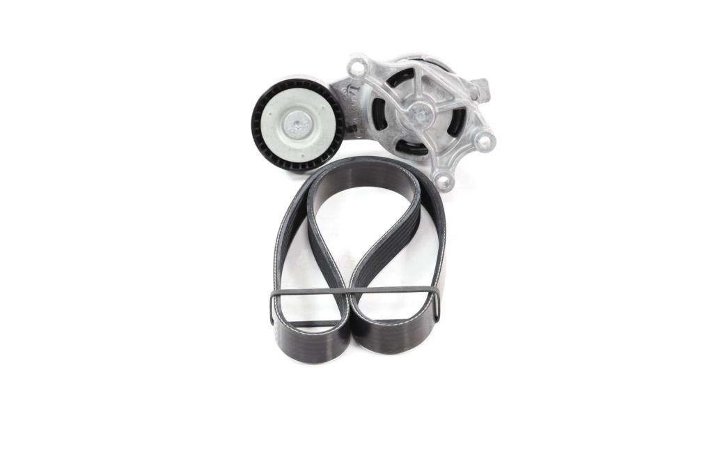 Kit de courroie d'accessoire (Courroie d’alternateur) DAYCO KPV255