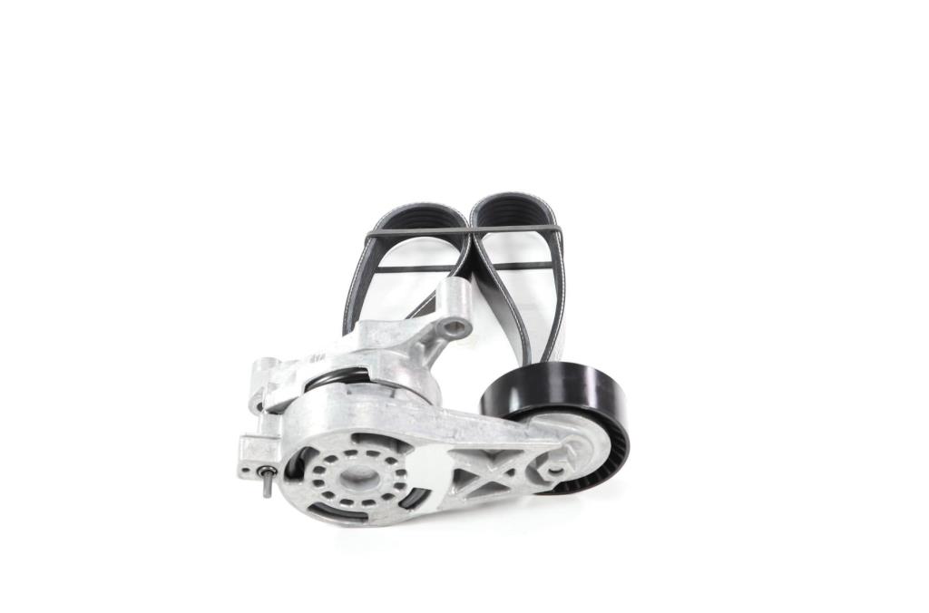 Kit de courroie d'accessoire (Courroie d’alternateur) DAYCO KPV255