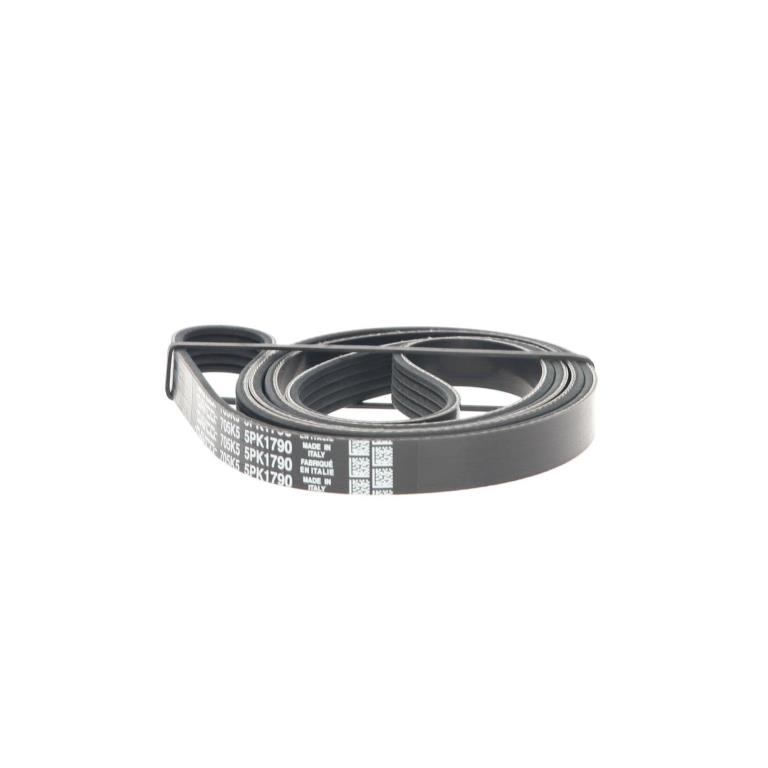Courroie trapézoïdale à nervures DAYCO 5PK1790
