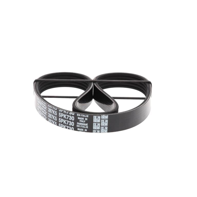 Courroie trapézoïdale à nervures DAYCO 5PK730