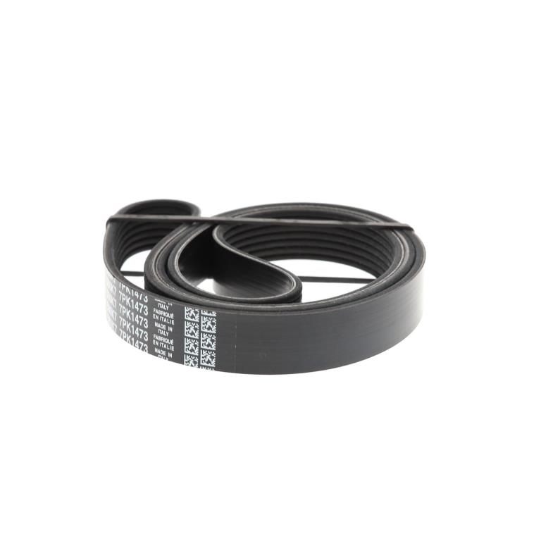 Courroie trapézoïdale à nervures DAYCO ref. 7PK1473