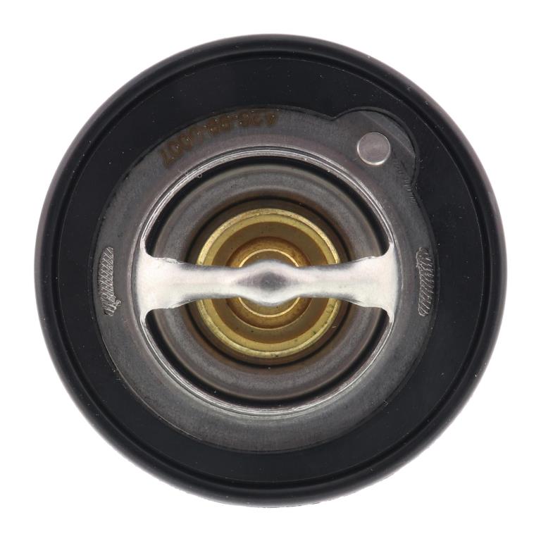 Thermostat d'eau (Calorstat) ACKOJA ref. A26-99-0007