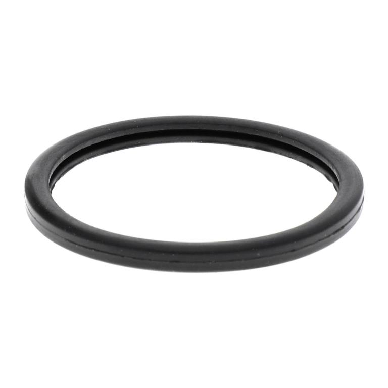 Thermostat d'eau (Calorstat) ACKOJA A37-99-0006