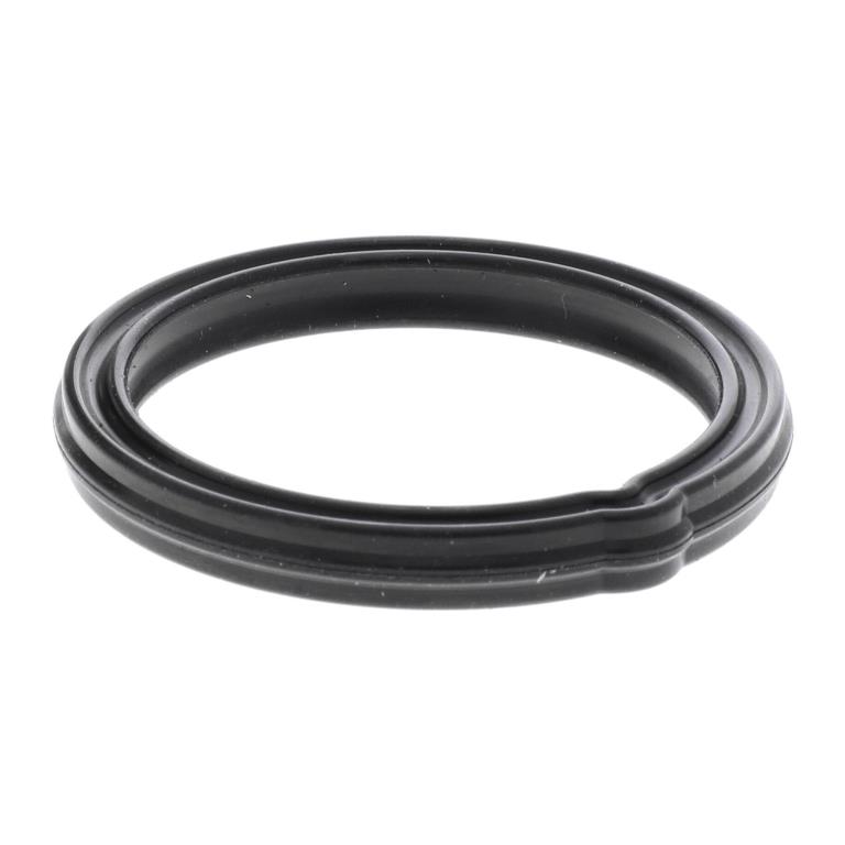 Thermostat d'eau (Calorstat) ACKOJA A52-99-0016