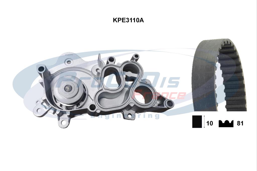 Kit De Courroie D'accessoire RENAULT Mégane Scénic Phase 2 1.9 DCi