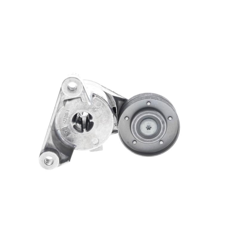 Rolo tensor da correia trapezoidal estriada SKF ref. VKM 36530