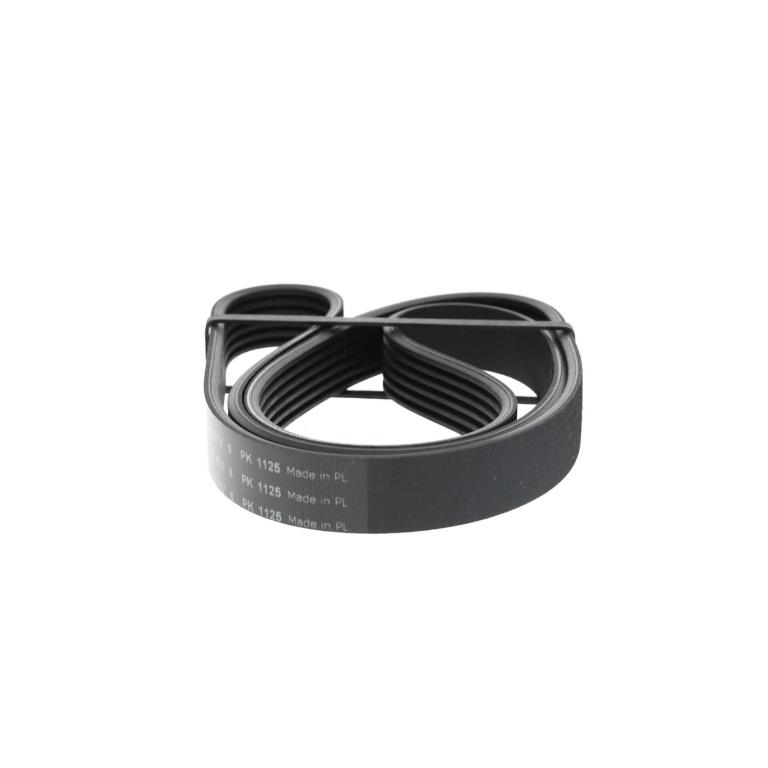 Correia trapezoidal estriada SKF ref. VKMV 6PK1125