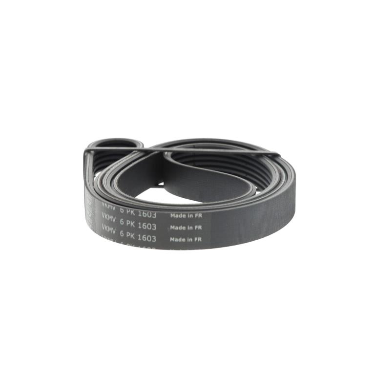 Correia trapezoidal estriada SKF ref. VKMV 6PK1603