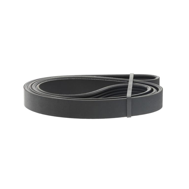 Correia trapezoidal estriada SKF ref. VKMV 6PK1603