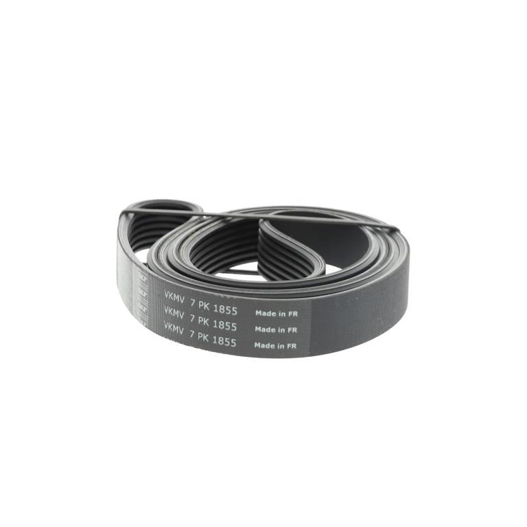 Correia trapezoidal estriada SKF ref. VKMV 7PK1855