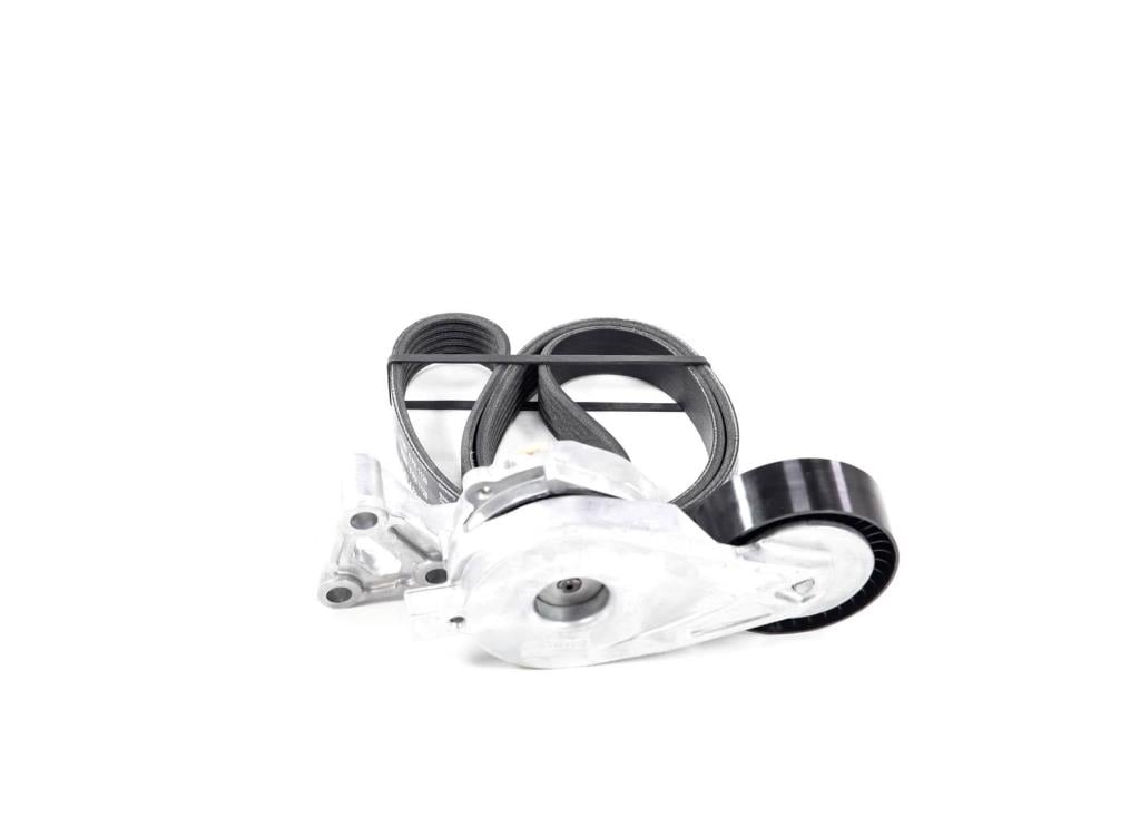 Kit de courroie d'accessoire (Courroie d’alternateur) SKF ref. VKMA 31008