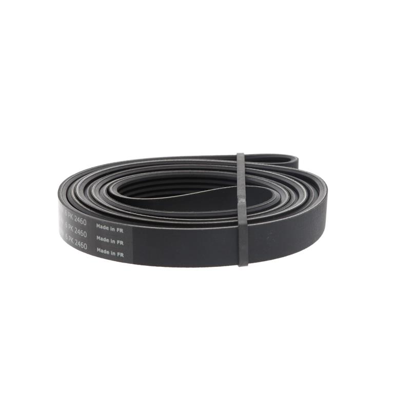Correia trapezoidal estriada SKF ref. VKMV 6PK2460
