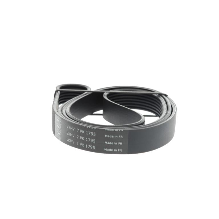 Correia trapezoidal estriada SKF ref. VKMV 7PK1795