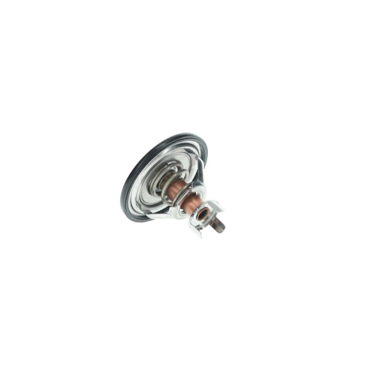 Thermostat d'eau (Calorstat) HERTH+BUSS JAKOPARTS ref. J1531006