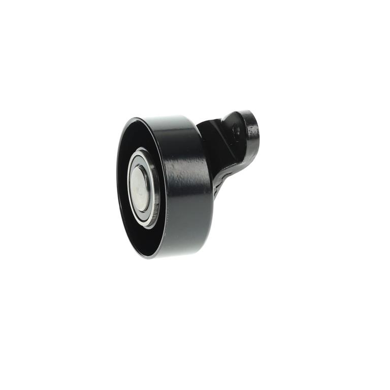 Galet enrouleur de courroie d'accessoire QUINTON HAZELL QTA702