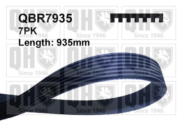 Correia trapezoidal estriada QUINTON HAZELL ref. QBR7935