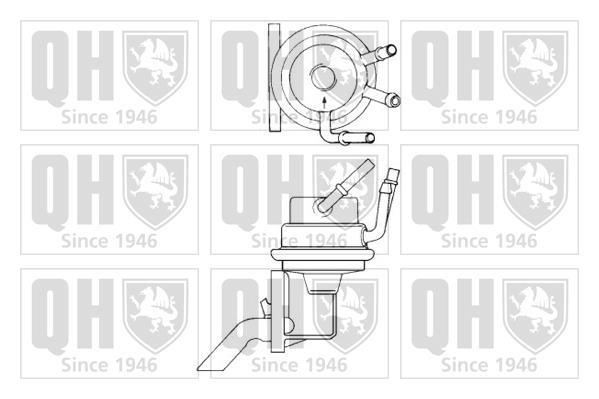 Pompe à carburant (Pompe à gasoil) QUINTON HAZELL ref. QFP294