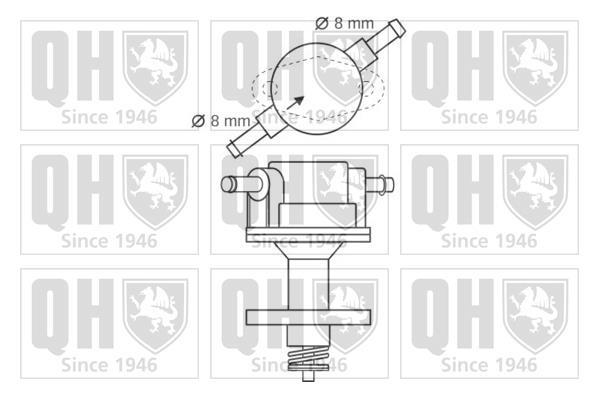 Pompe à carburant (Pompe à gasoil) QUINTON HAZELL QFP87