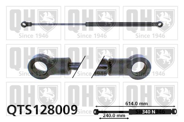 Vérin (Vérin de hayon) QUINTON HAZELL QTS128009
