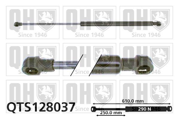 Vérin (Vérin de hayon) QUINTON HAZELL QTS128037