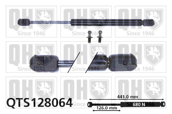 Vérin (Vérin de hayon) QUINTON HAZELL QTS128064
