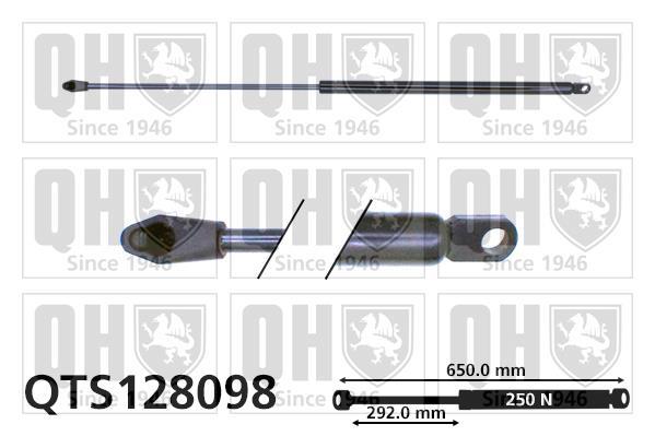 Vérin (Vérin de hayon) QUINTON HAZELL QTS128098