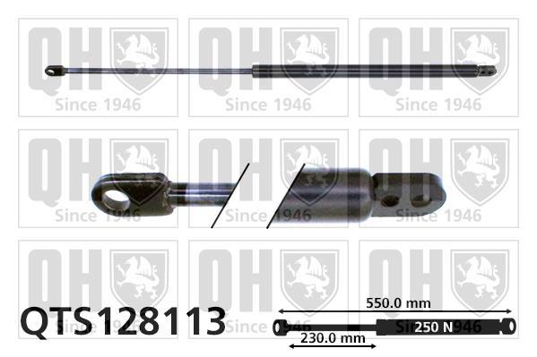 Vérin (Vérin de hayon) QUINTON HAZELL QTS128113