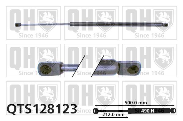 Vérin (Vérin de hayon) QUINTON HAZELL QTS128123
