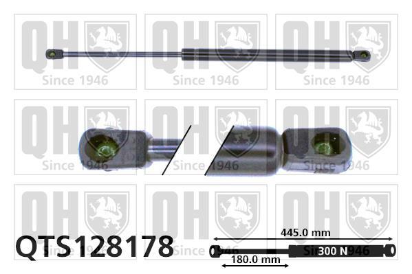 Vérin (Vérin de hayon) QUINTON HAZELL QTS128178