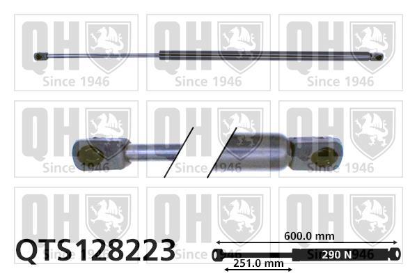 Vérin (Vérin de hayon) QUINTON HAZELL QTS128223