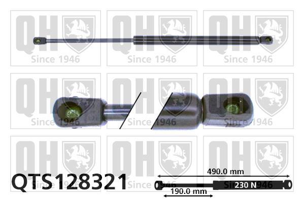 Vérin (Vérin de hayon) QUINTON HAZELL QTS128321