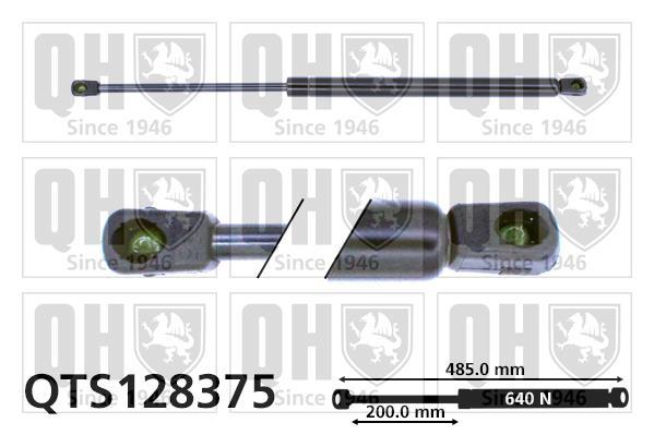 Vérin (Vérin de hayon) QUINTON HAZELL QTS128375