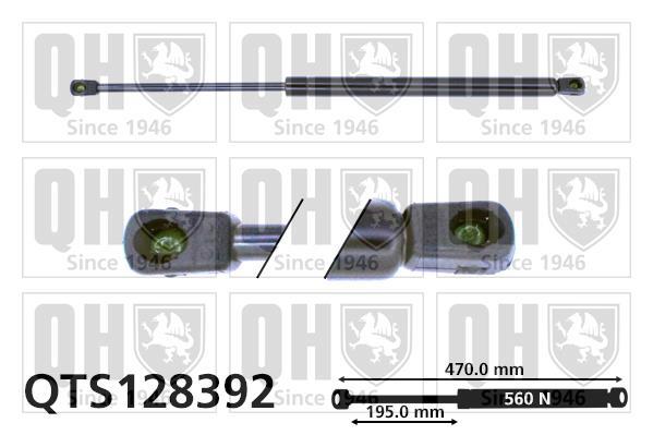 Cilindro QUINTON HAZELL QTS128392
