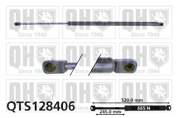 Vérin (Vérin de hayon) QUINTON HAZELL QTS128406