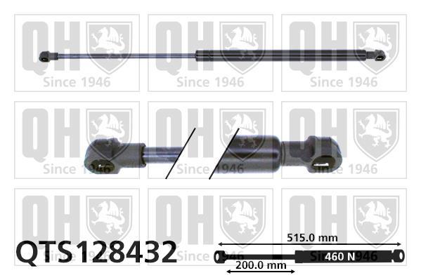 Vérin (Vérin de hayon) QUINTON HAZELL QTS128432