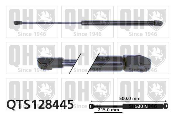 Vérin (Vérin de hayon) QUINTON HAZELL QTS128445