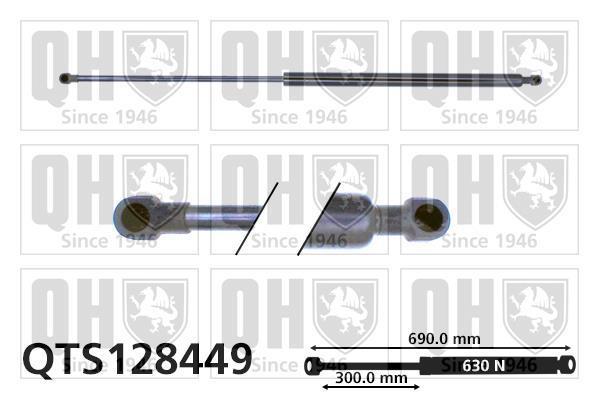 Vérin (Vérin de hayon) QUINTON HAZELL ref. QTS128449