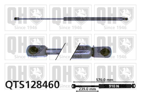 Vérin (Vérin de hayon) QUINTON HAZELL QTS128460