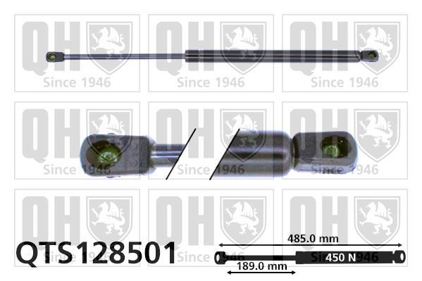 Vérin (Vérin de hayon) QUINTON HAZELL QTS128501